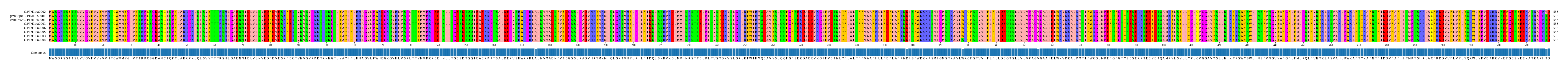 Multiple Alignments (by translate haplotype similarity)
