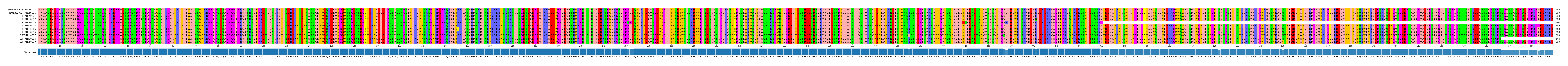 Multiple Alignments (by translate haplotype frequency)