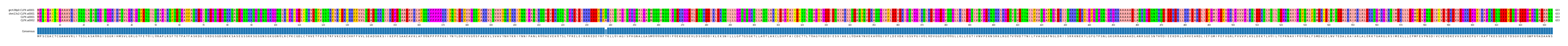 Multiple Alignments (by translate haplotype similarity)