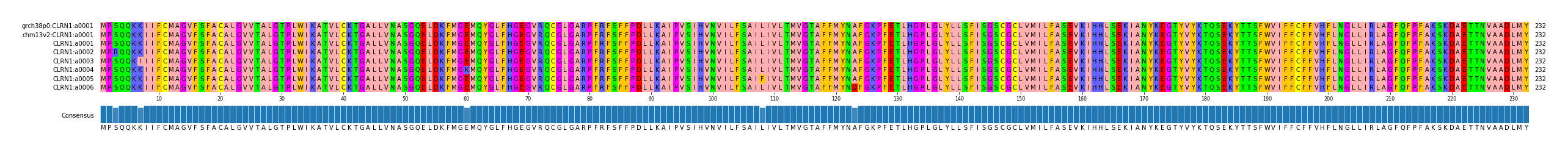 Multiple Alignments (by translate haplotype frequency)