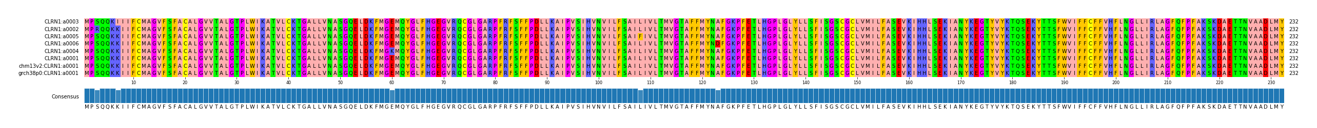 Multiple Alignments (by translate haplotype similarity)