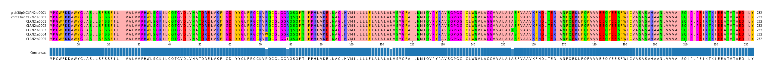 Multiple Alignments (by translate haplotype frequency)