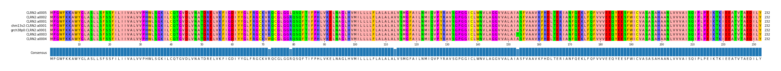Multiple Alignments (by translate haplotype similarity)