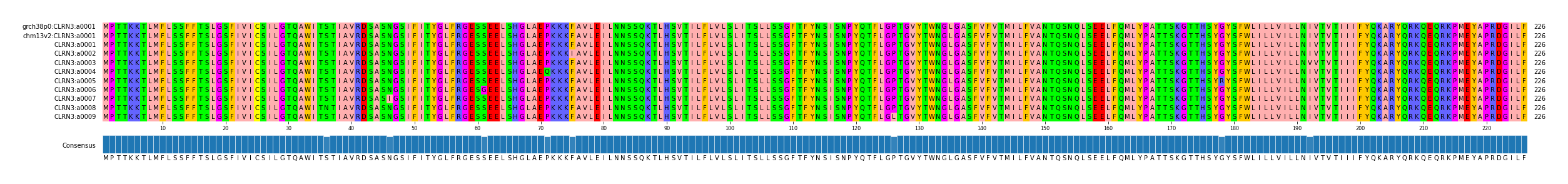 Multiple Alignments (by translate haplotype frequency)