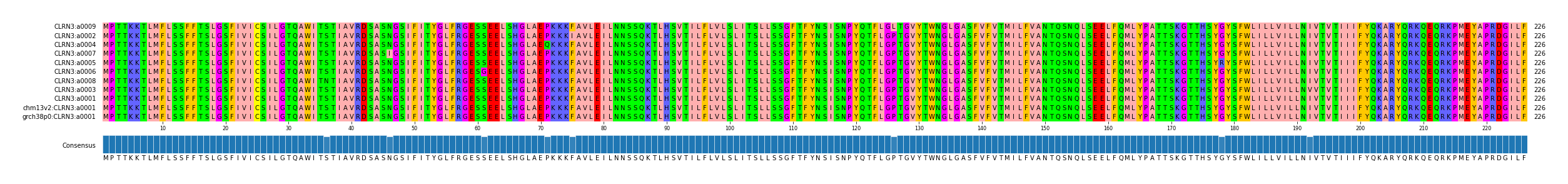 Multiple Alignments (by translate haplotype similarity)