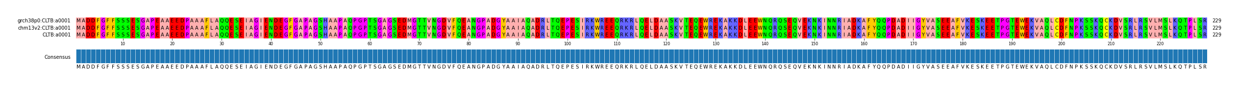 Multiple Alignments (by translate haplotype frequency)