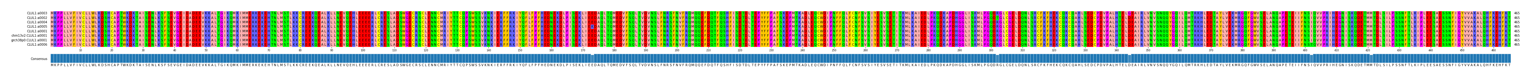 Multiple Alignments (by translate haplotype similarity)