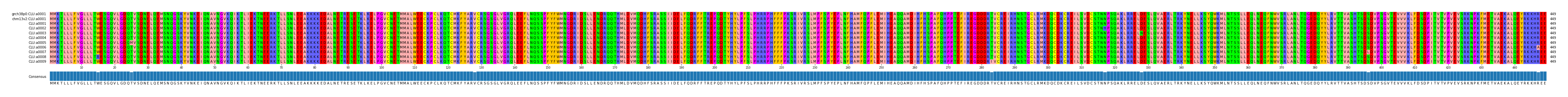 Multiple Alignments (by translate haplotype frequency)