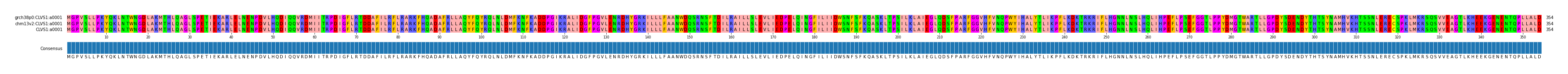 Multiple Alignments (by translate haplotype similarity)