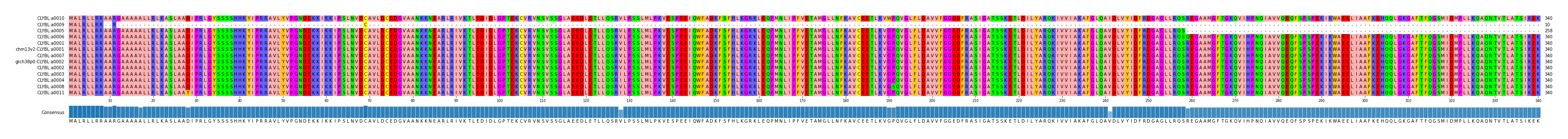 Multiple Alignments (by translate haplotype similarity)