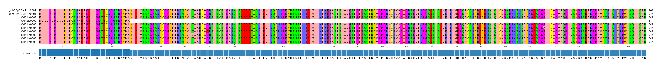 Multiple Alignments (by translate haplotype frequency)