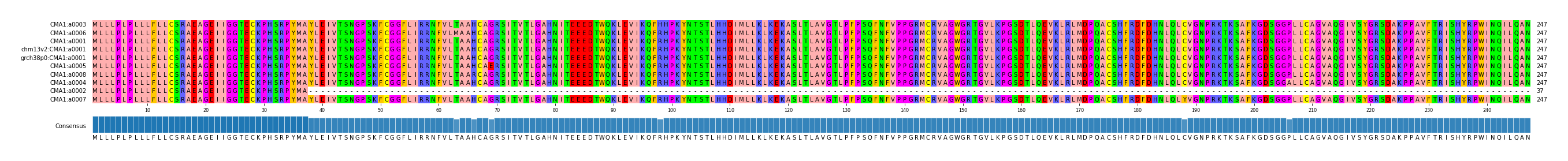 Multiple Alignments (by translate haplotype similarity)
