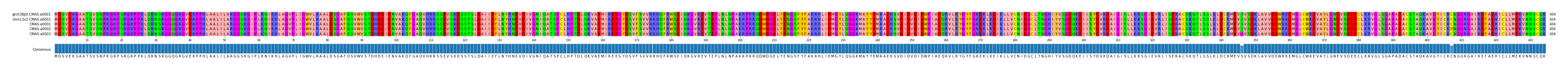 Multiple Alignments (by translate haplotype frequency)