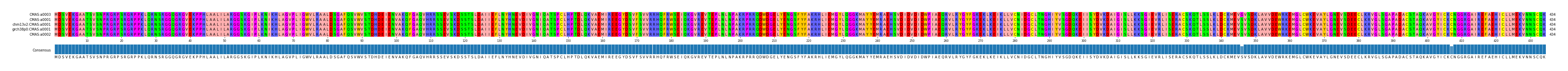 Multiple Alignments (by translate haplotype similarity)