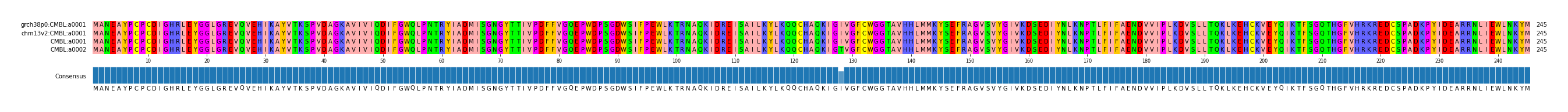 Multiple Alignments (by translate haplotype similarity)