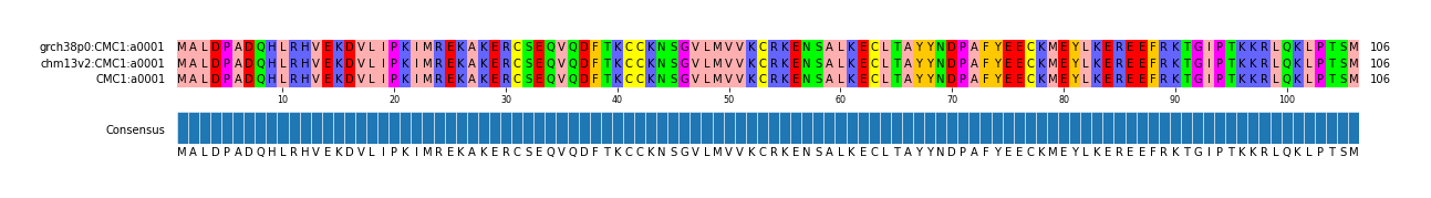 Multiple Alignments (by translate haplotype similarity)