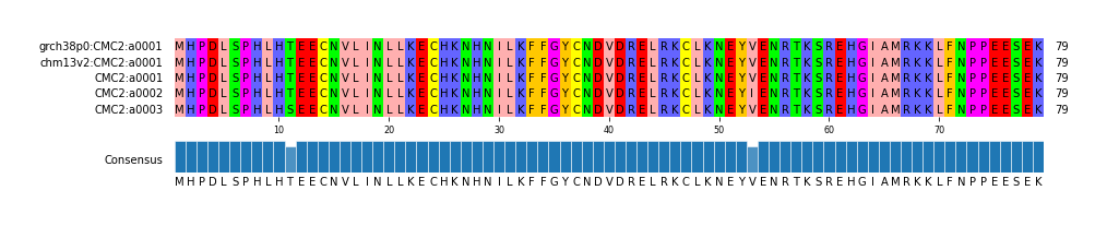 Multiple Alignments (by translate haplotype frequency)