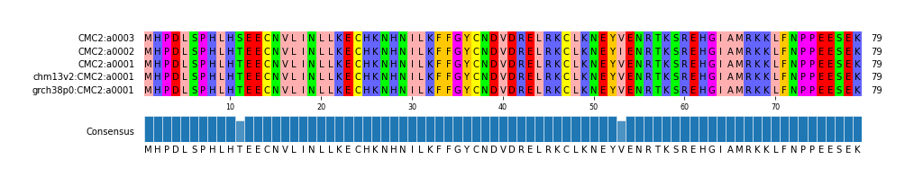 Multiple Alignments (by translate haplotype similarity)
