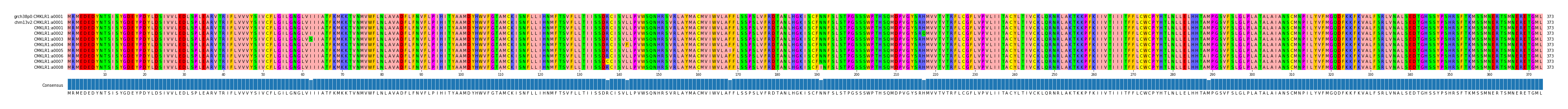 Multiple Alignments (by translate haplotype frequency)