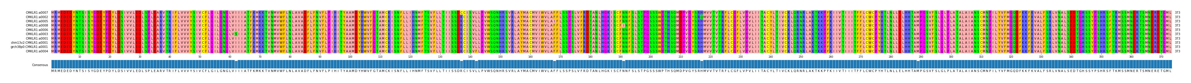 Multiple Alignments (by translate haplotype similarity)