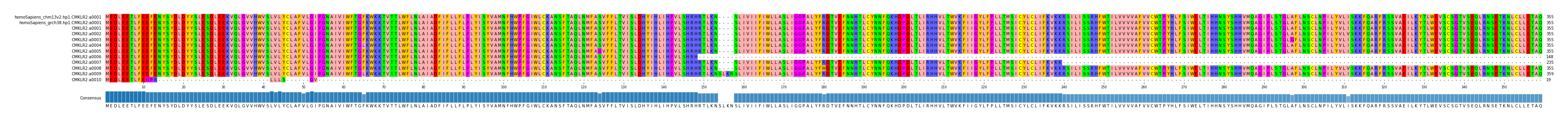 Multiple Alignments (by translate haplotype frequency)