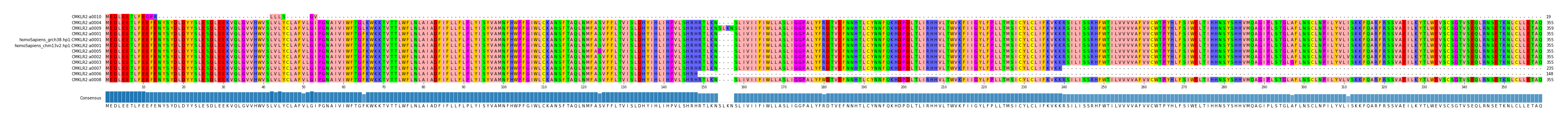 Multiple Alignments (by translate haplotype similarity)