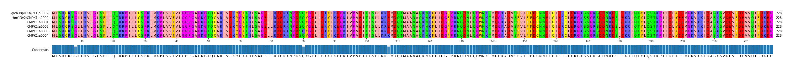 Multiple Alignments (by translate haplotype frequency)