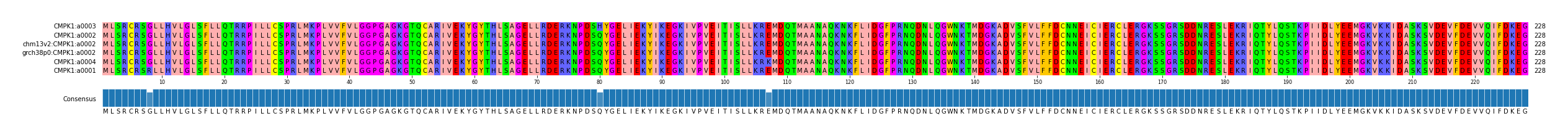 Multiple Alignments (by translate haplotype similarity)