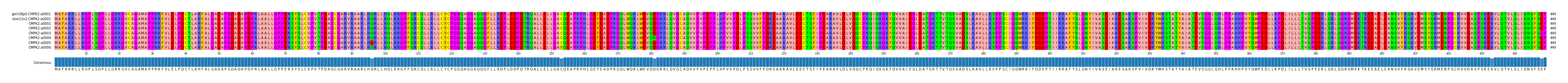 Multiple Alignments (by translate haplotype frequency)