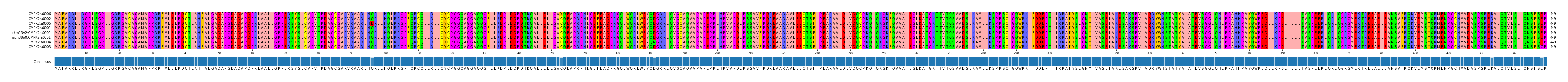 Multiple Alignments (by translate haplotype similarity)