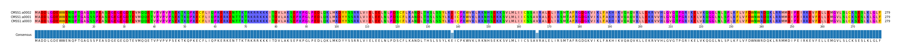 Multiple Alignments (by translate haplotype similarity)