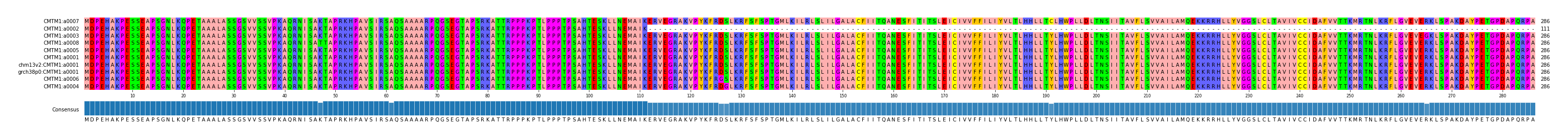 Multiple Alignments (by translate haplotype similarity)