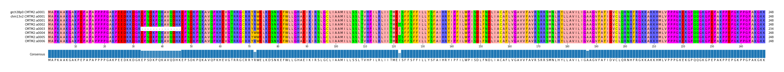 Multiple Alignments (by translate haplotype frequency)