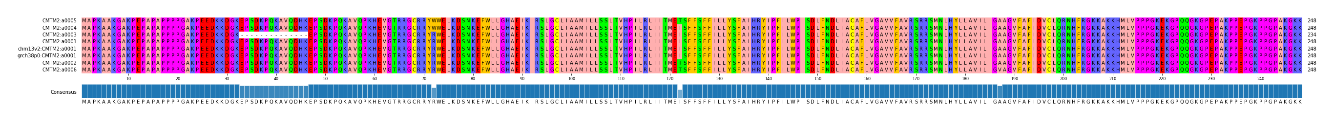 Multiple Alignments (by translate haplotype similarity)