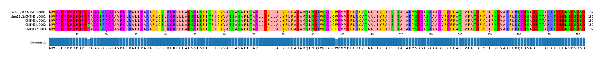 Multiple Alignments (by translate haplotype frequency)