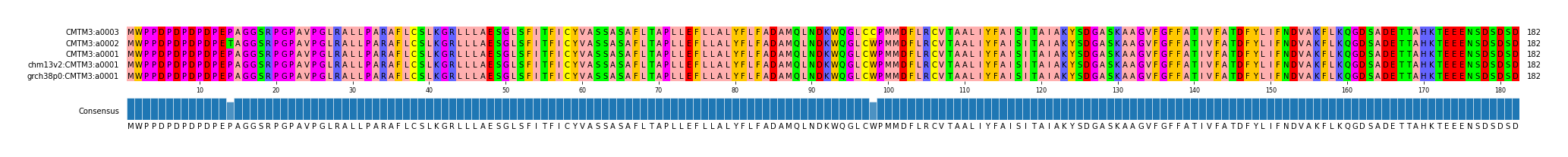Multiple Alignments (by translate haplotype similarity)