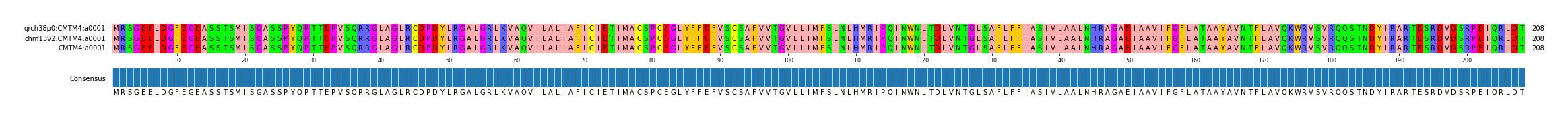 Multiple Alignments (by translate haplotype similarity)