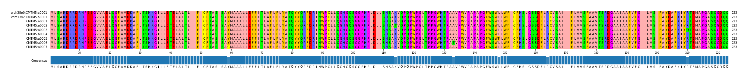 Multiple Alignments (by translate haplotype frequency)