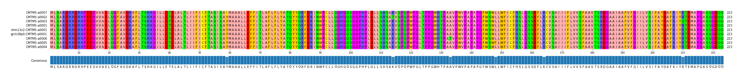 Multiple Alignments (by translate haplotype similarity)