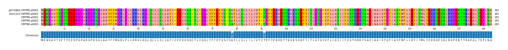 Multiple Alignments (by translate haplotype frequency)