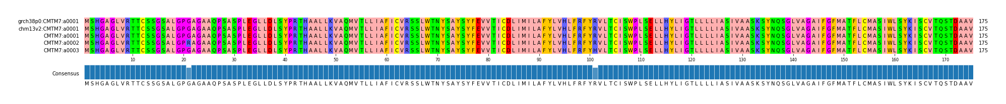 Multiple Alignments (by translate haplotype frequency)