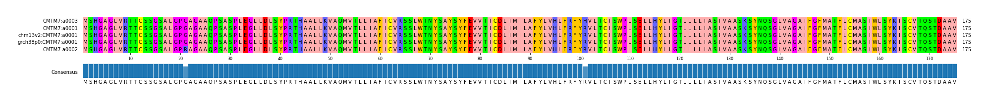 Multiple Alignments (by translate haplotype similarity)