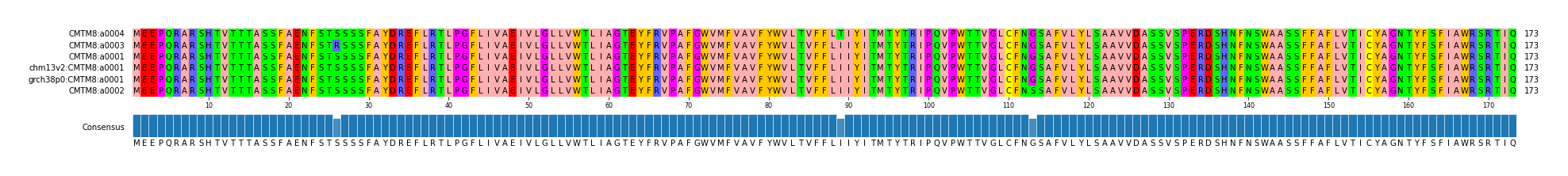 Multiple Alignments (by translate haplotype similarity)