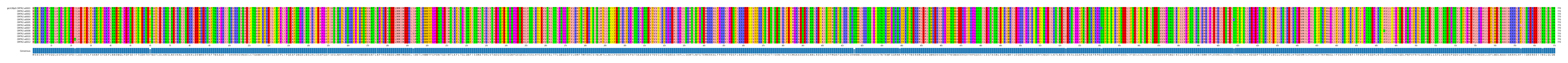 Multiple Alignments (by translate haplotype frequency)