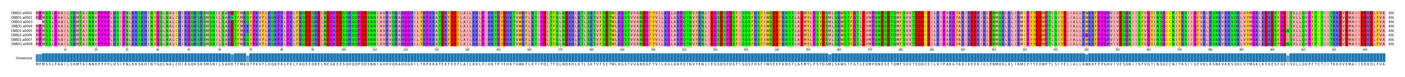 Multiple Alignments (by translate haplotype frequency)