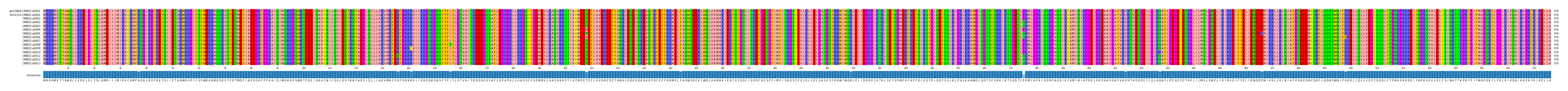 Multiple Alignments (by translate haplotype frequency)