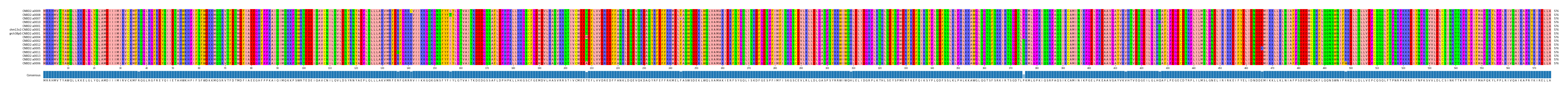 Multiple Alignments (by translate haplotype similarity)