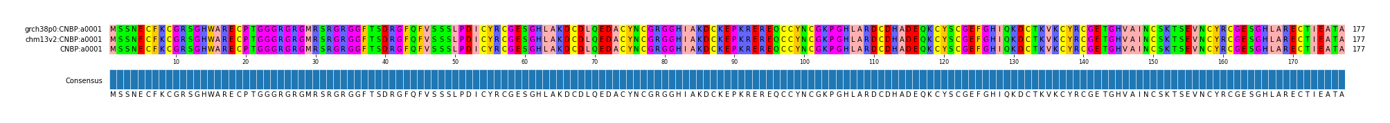 Multiple Alignments (by translate haplotype similarity)