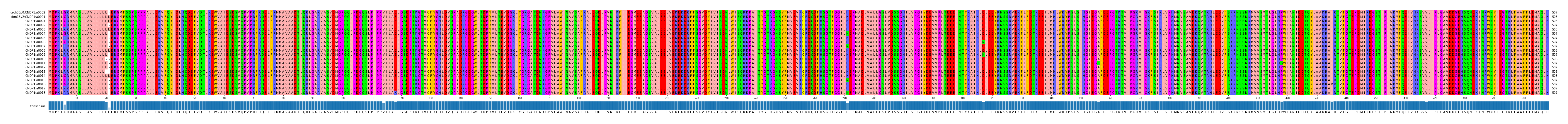 Multiple Alignments (by translate haplotype frequency)