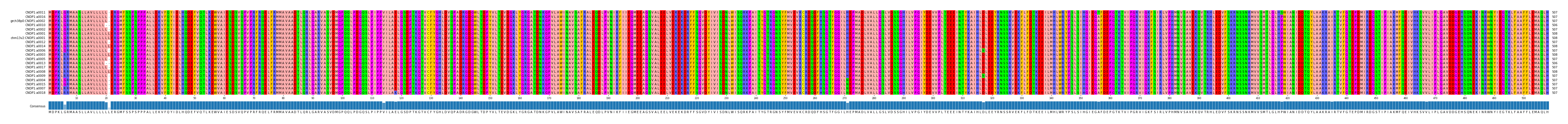Multiple Alignments (by translate haplotype similarity)